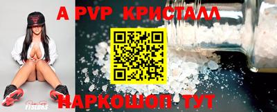 гашик Моздок