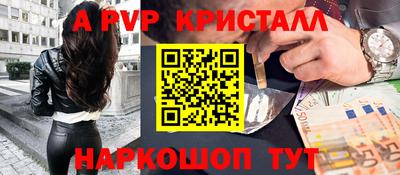гашик Моздок