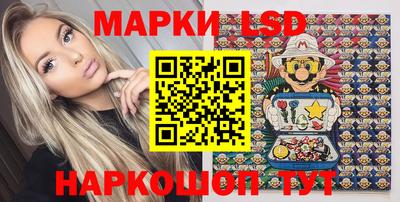 гашик Моздок