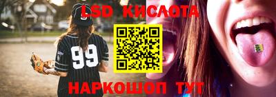 гашик Моздок