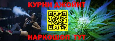 гашик Моздок
