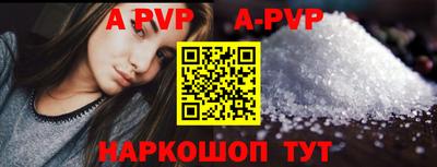 гашик Моздок