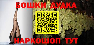 гашик Моздок