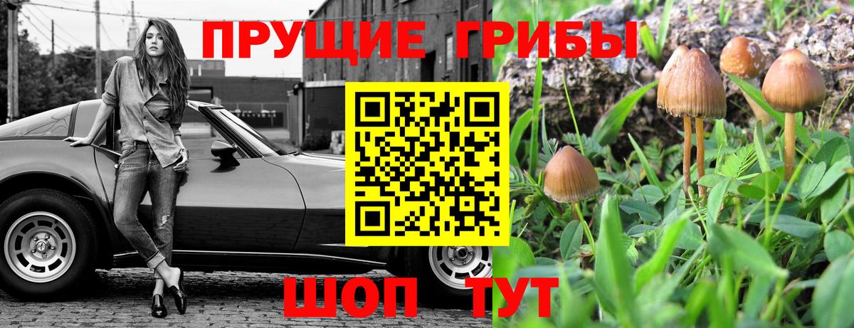Таганрог  Псилоцибиновые грибы прущие грибы  Псилоцибиновые грибы прущие грибы  Вход с VPN 